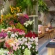 Beriful: The Ultimate Guide to Beriful Flower Shop, Cloth Shop